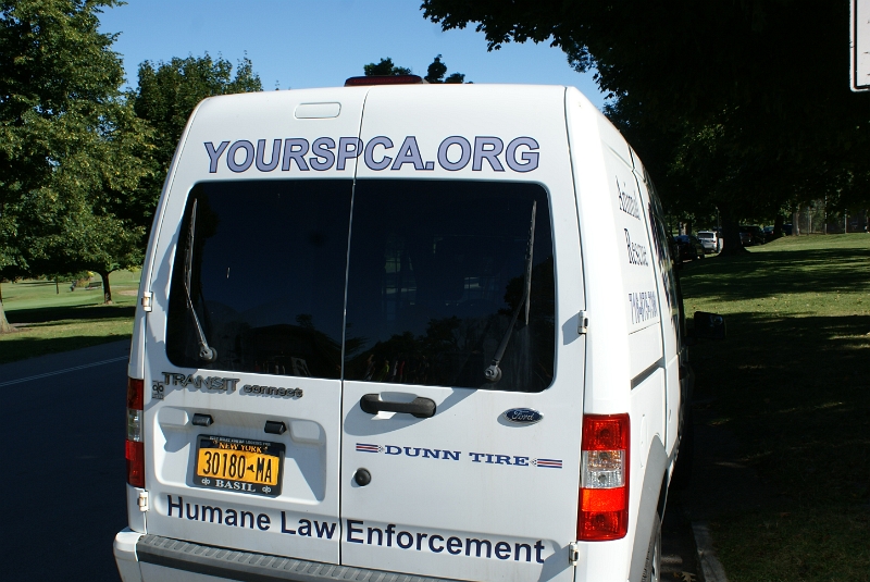 Dash for Diversity 2014 073.JPG